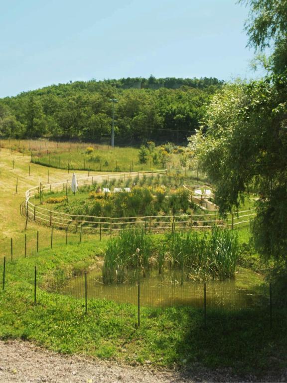 La Fornace Di San Galgano * Frosini